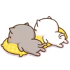 Mochi Peach Cat 4 9
