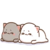 Mochi Peach Cat 2 8