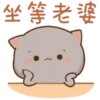Mochi Peach Cat 4 12