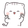 ⚞lindo🐱chan🐈cat⚟ 8