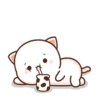 Mochi Peach Cat 2 14