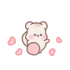Cute hamster 13