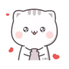 ⚞lindo🐱chan🐈cat⚟ 14
