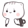 ⚞lindo🐱chan🐈cat⚟ 16