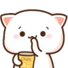 Mochi Peach Cat 4 19