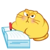 Жирный котенок 23