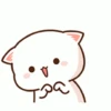Mochi Peach Cat 2 27