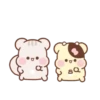 Cute hamster 18