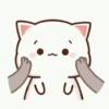 Mochi Peach Cat 2 28