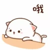 Mochi Peach Cat 4 24