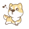 Shiba Friends 6