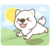 Shiba Friends 11