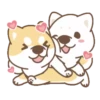 Shiba Friends 13