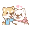 Shiba Friends 16