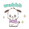 POCHACCO meneo en acuarelas 11
