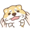 Shiba Friends 18