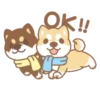 Shiba Friends 20