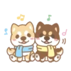 Shiba Friends 21