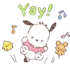 POCHACCO meneo en acuarelas 20
