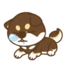 Shiba Friends 23