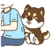 Shiba Friends 27