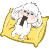 Puppies🐕❤️Mov🇨🇷 29