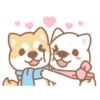 Shiba Friends 30