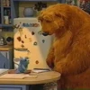 BEAR in the BIG BLUE HOUSE 5
