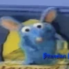 BEAR in the BIG BLUE HOUSE 9