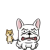 Mundo De Perritos 2 MOV 9