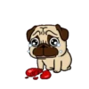 Mundo De Perritos 2 MOV 14