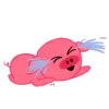 Risos 21