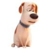 🐰 ThE SeCrEt LiFe Of PeTs 🐩 8