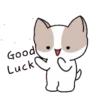 coco (ver. baby) 10