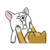 Mundo De Perritos 2 MOV 17