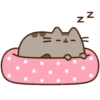 Buenas Noches (Mov) 16
