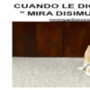 De a dos. Parte 8 22