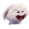 🐰 ThE SeCrEt LiFe Of PeTs 🐩 10