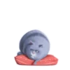 🐰 ThE SeCrEt LiFe Of PeTs 🐩 11