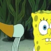 BOBESPONJAMOV 19