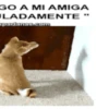 De a dos. Parte 8 24