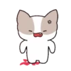 coco (ver. baby) 15