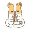 Corgi dog 5