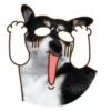 Husky divertido 8