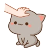 Mochis cat 6