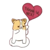 Corgi dog 8