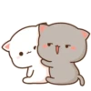 Mochis cat 7