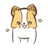 Corgi dog 10