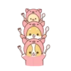 Corgi dog 11