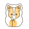 Corgi dog 13